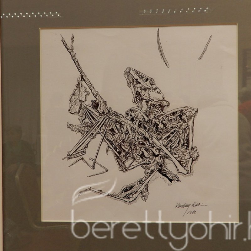 Alkotni jó 2019. 54